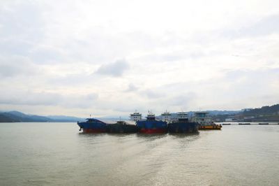 著力構建沿江綜合立體交通走廊——趙沖久在宜昌、武漢調研碼頭建設與管理