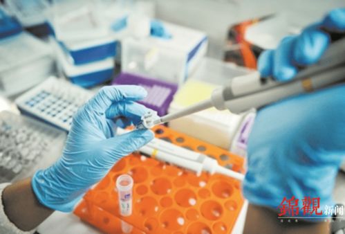 睿樂達再次吸睛 從機器人到原研藥，看成都566.8億元高新技術產品背后的創新韌性