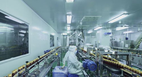 2026年揭秘 酵素飲制造企業(yè)如何玩轉健康新潮流——技術交流深度解析